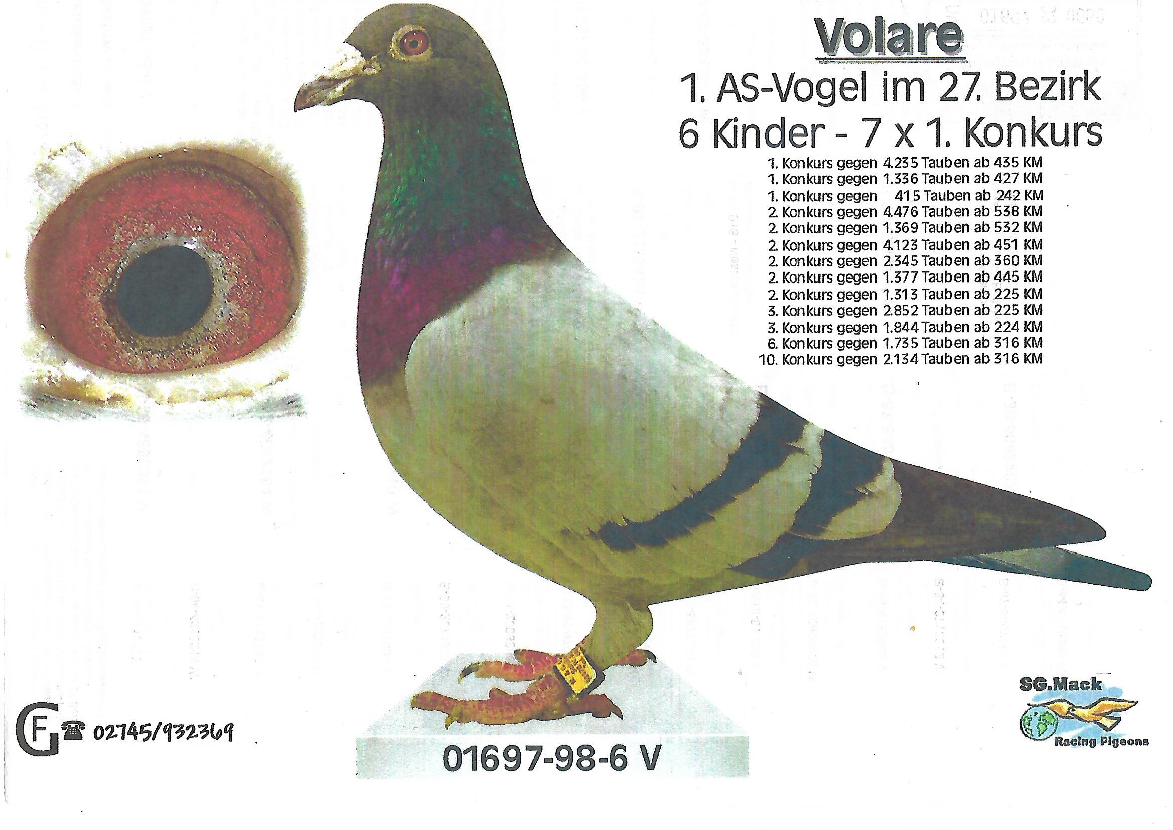 volare